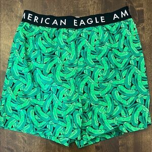 American Eagle Outfitters Men's Green Pickle Print Boxers